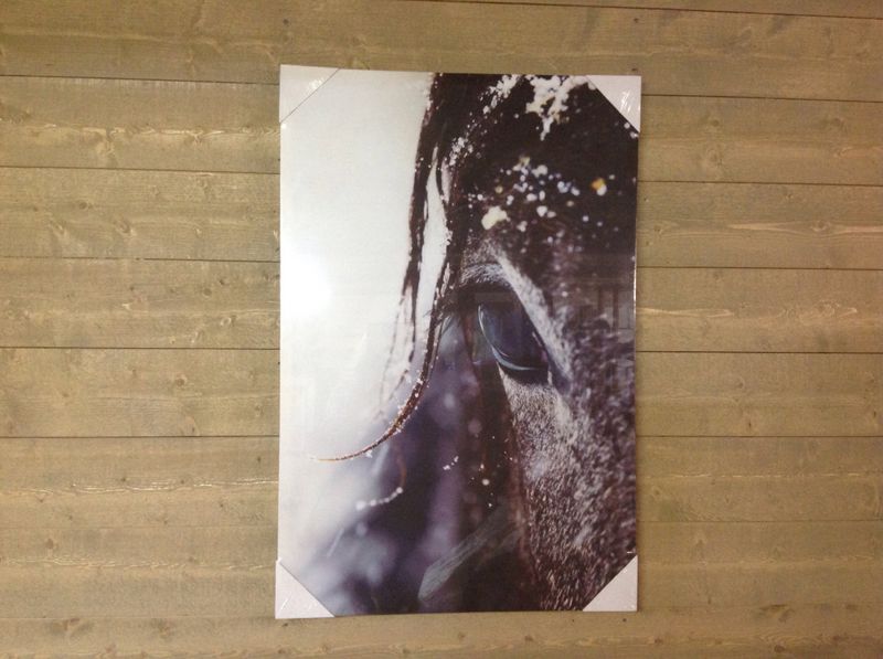 Bilde hest. 60x90