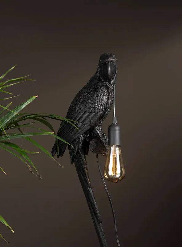 Vegglampe papegøye