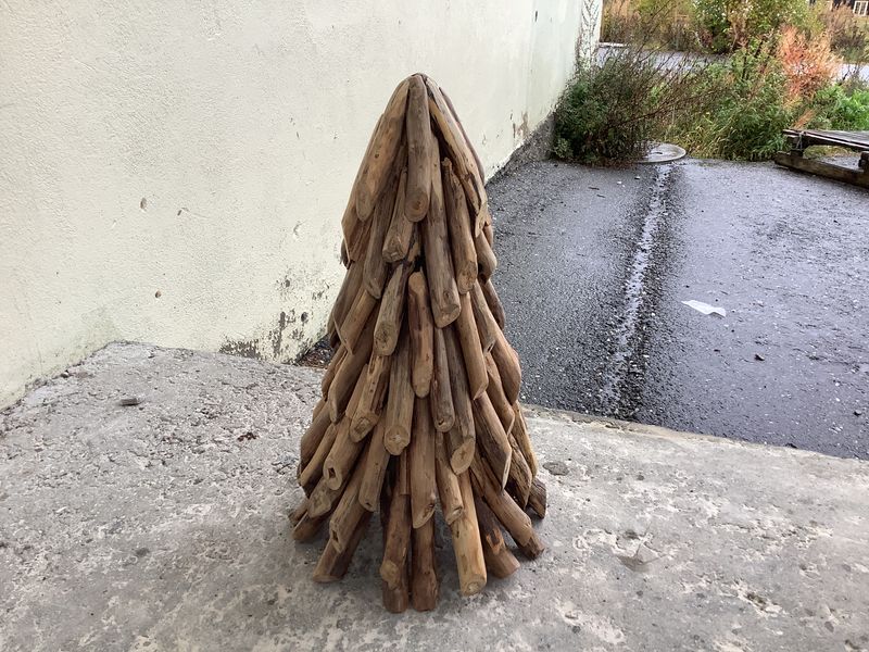 Teak tre medium